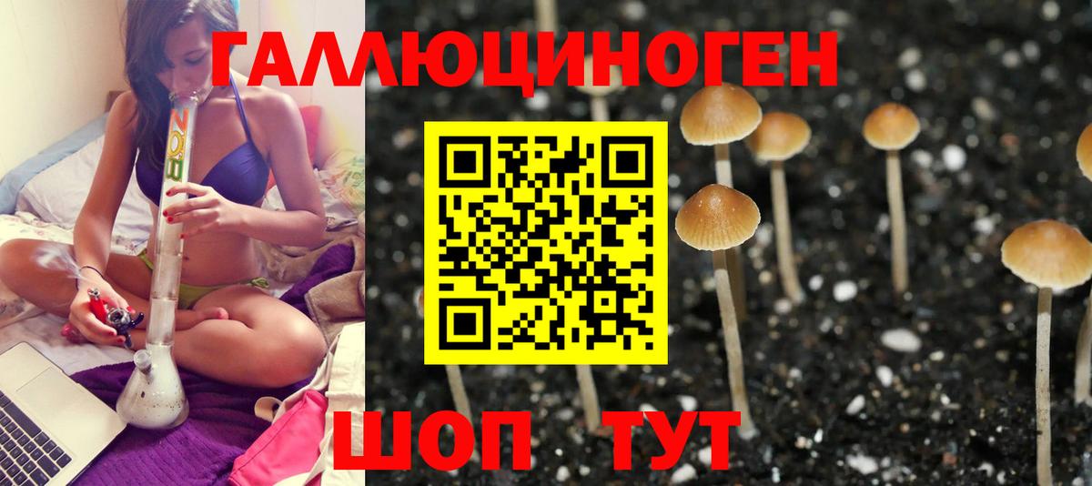 Скопин  Галлюциногенные грибы мицелий  Вход с VPN 